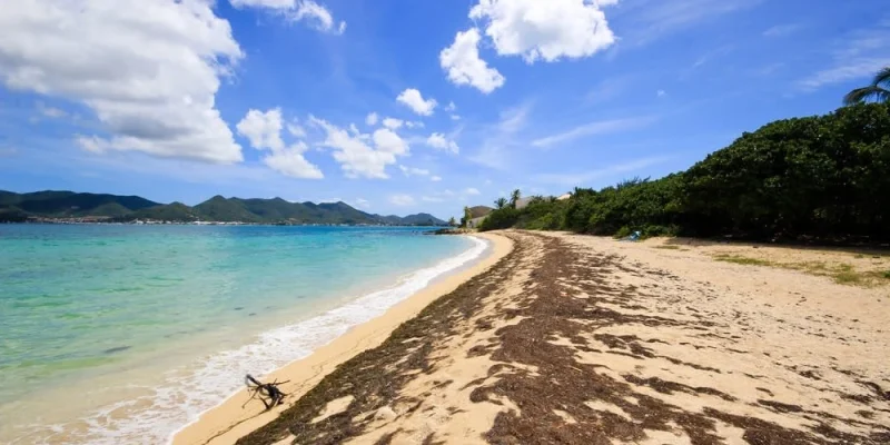 0d7gr5vbcibkvt2rv19inzw1d9kp