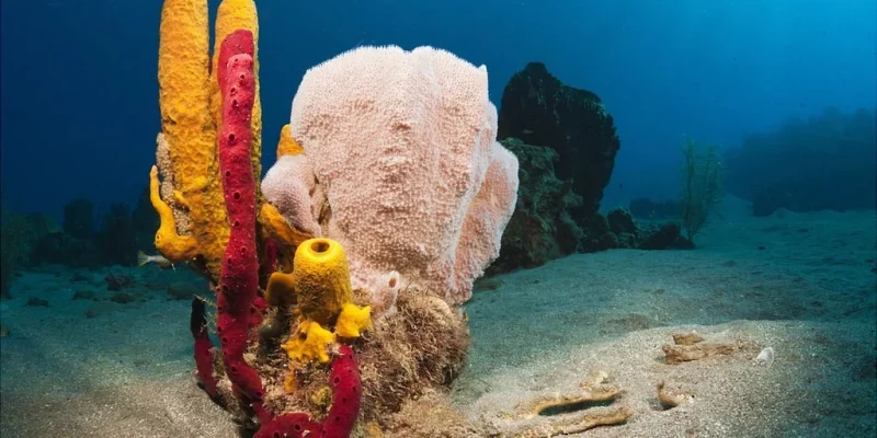 _126644894_gettyimages-521328274