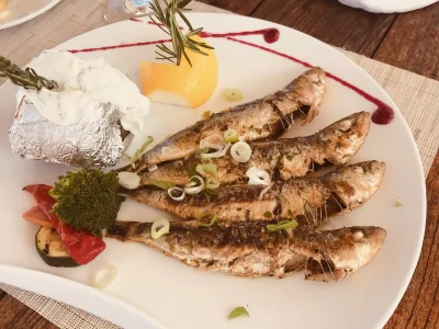 18lavhw0rwnv5oubjy0yzbd26jia (1)