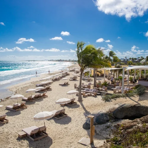 1cqbdofei4kbtfctdzowtxt1bwpw (2)