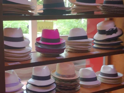 1haxa4inwjoctpws5fasthhwfscc