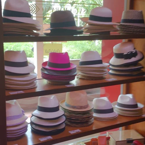 1haxa4inwjoctpws5fasthhwfscc