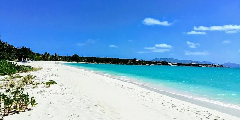 20170310-131938-6-largejpg