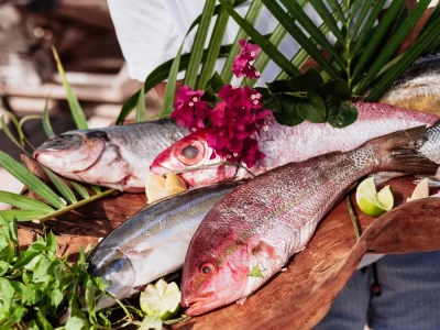 2022-DSC09497-Laura Payet