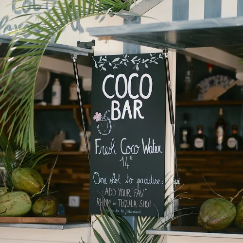 2025_Camille.daudignac (4)