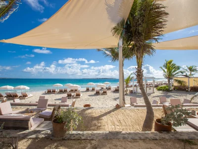 327vnckbggq7n03pdbj4s7jt3qhz (2)