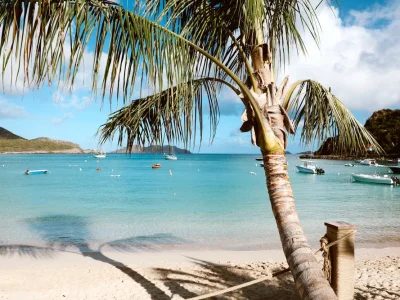 37FB043C-4582-4A75-BCC7-B4F07E09BB7F