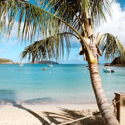 37FB043C-4582-4A75-BCC7-B4F07E09BB7F