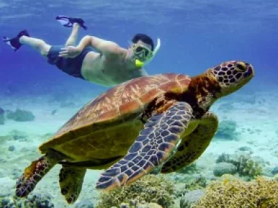 3872nb1hjcerqgd0wm22rep8bnh7