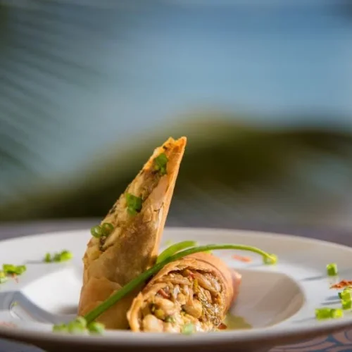 3b57jgqlkz7hj62idtonn8qngv37