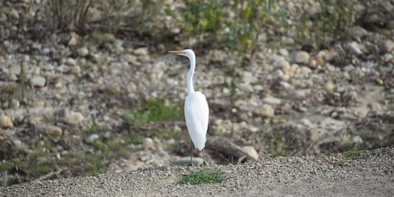 4dfu4efjqga2826fuci8zr06uji0