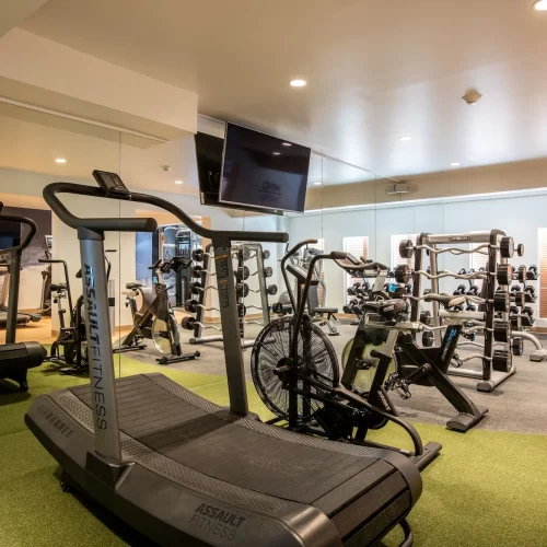 4t4mqp4qa1wzloaakye37a3xu75w (3)