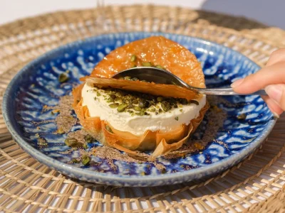 4vza3m1t40b37fg8r19229r51uoj