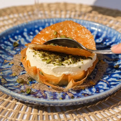 4vza3m1t40b37fg8r19229r51uoj