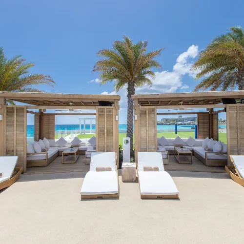 502py5am5qo9finrz633bqycf2t1 (3)