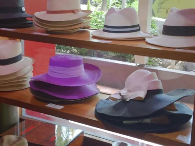 51gng0w3tib7aoe1ak85zr2ltjpm