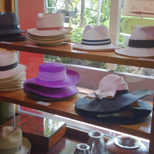 51gng0w3tib7aoe1ak85zr2ltjpm