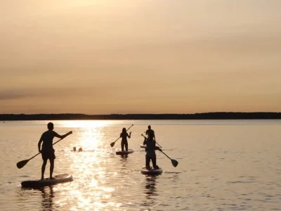 5xrtkzr7ir1yk46sktimls3ayt7s