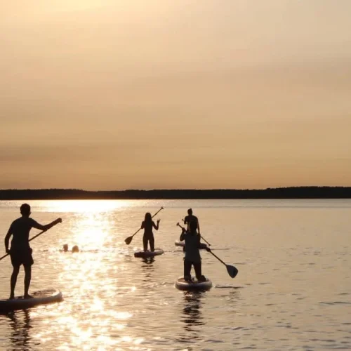 5xrtkzr7ir1yk46sktimls3ayt7s