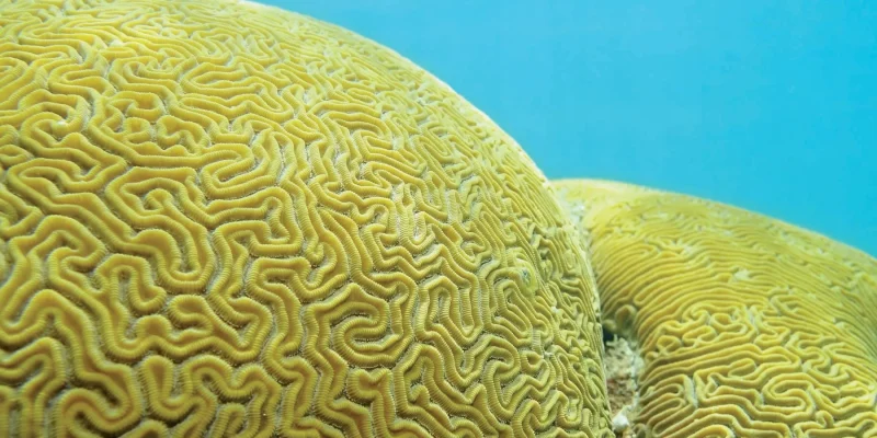 6be9wgzuo5u81s4721jgwweers9d