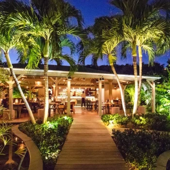 6kv7p964lrt9fr3a1rneibnarmo6