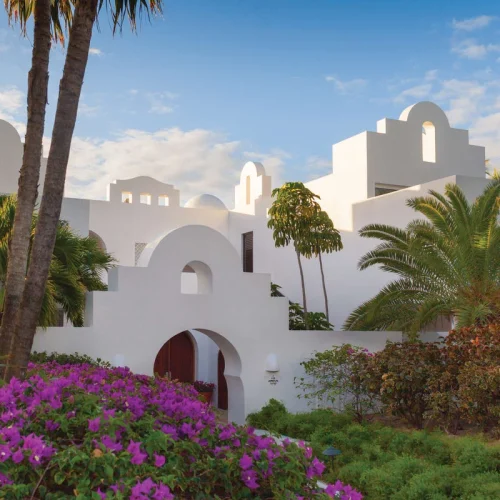 6vhlspmmx0hagehc1v4asefx5ndh