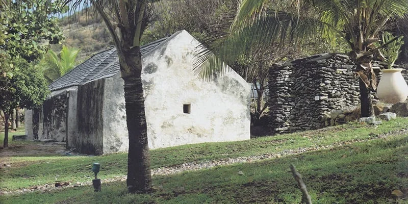 6x35k41ae2nht7jw1xjlulaocmw6