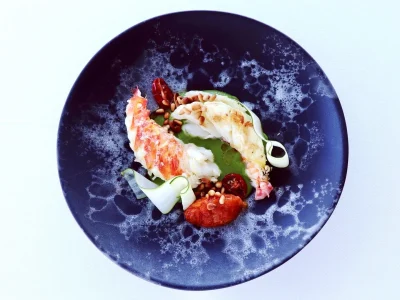 6zafkgcho6v6yek83vt4twhbrixk