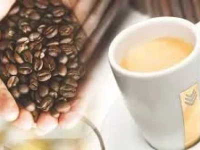 7n0zv4q8a304k31c055d2egjbg31 (1)