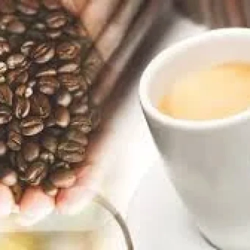 7n0zv4q8a304k31c055d2egjbg31 (1)