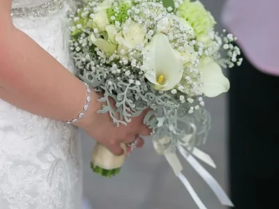 8cjntvnxqyzvkzwjt7m4wiq73zhc