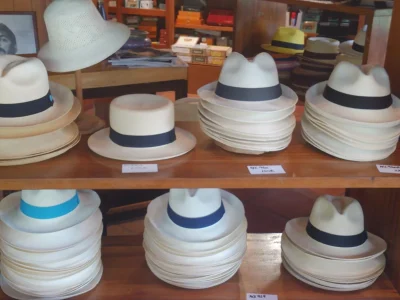 8etldynp8awif3ely7y8hn0ko3i6