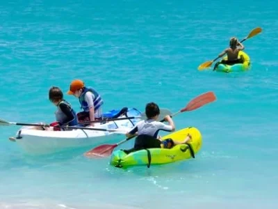 8o7vyh03q0s3ctuw4yocuq5j9jqh