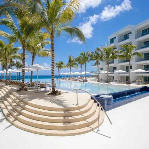 8xi37wesb6dj9hosw5l9ch4hemxk (3)