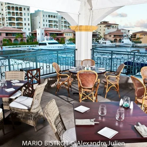 99yav3cnl5fijivt5544psneo7g6 (3)