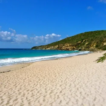 9pf657cgucz3t3nuvcchioqz95gq (1)