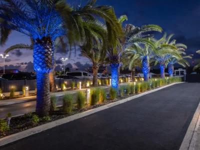 9wnfkg7waoxzbgkiy479blla00b0 (3)