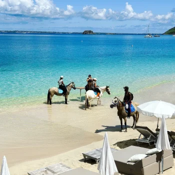 A5FFB5F0-196E-4BF5-AC6F-47EE1EE37225