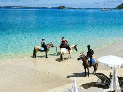 A5FFB5F0-196E-4BF5-AC6F-47EE1EE37225