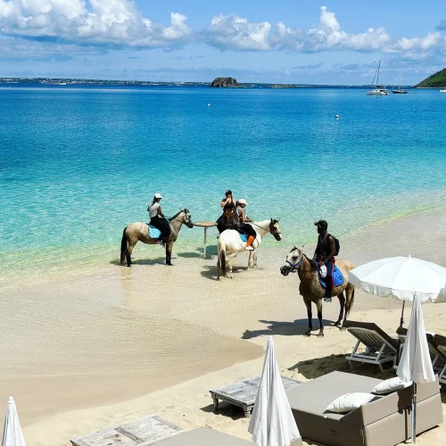 A5FFB5F0-196E-4BF5-AC6F-47EE1EE37225