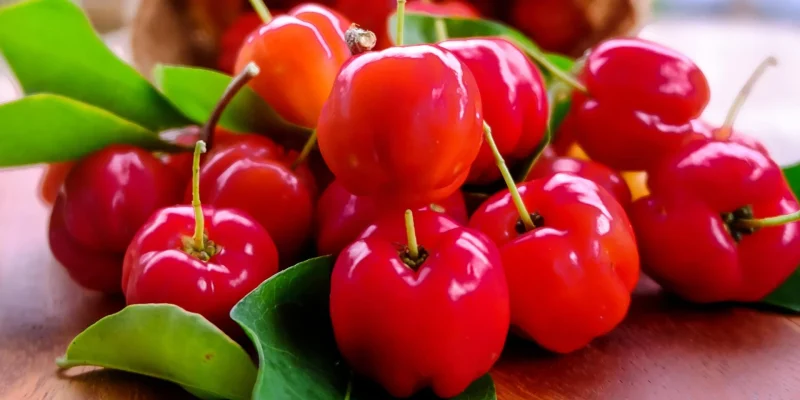 Cerisepays-Fruit-Exotique-Matinique-1920x960-crop-1672250559