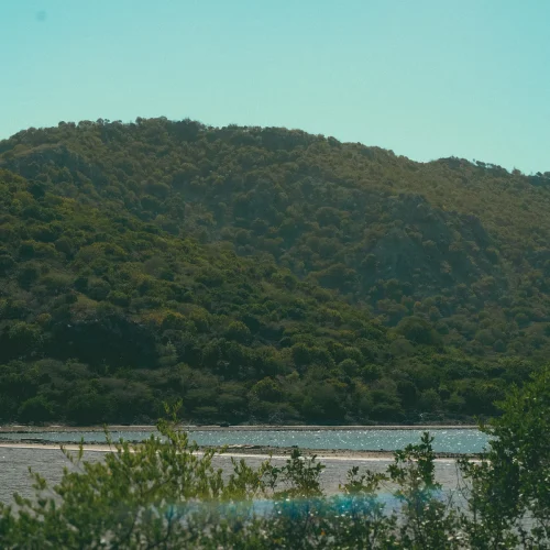 DSC06540