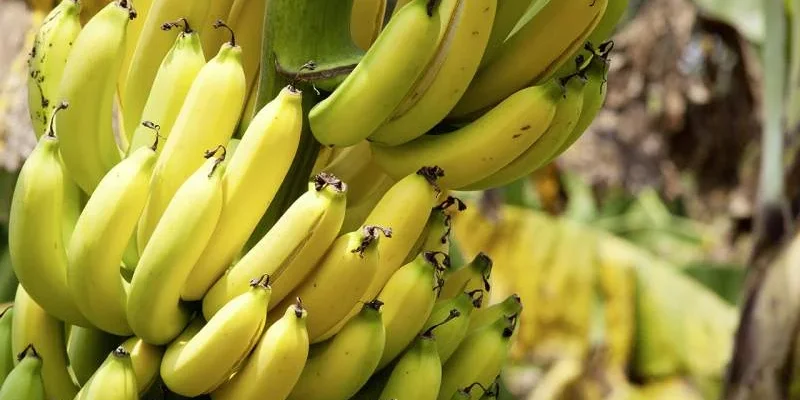 Ethische-opmerkingen_000021713730_XXXLarge