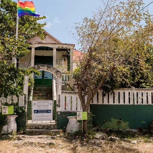 HEADER-AmuseumNaturalis-SXM--ClementLouineau-2