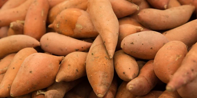 Patate Douce