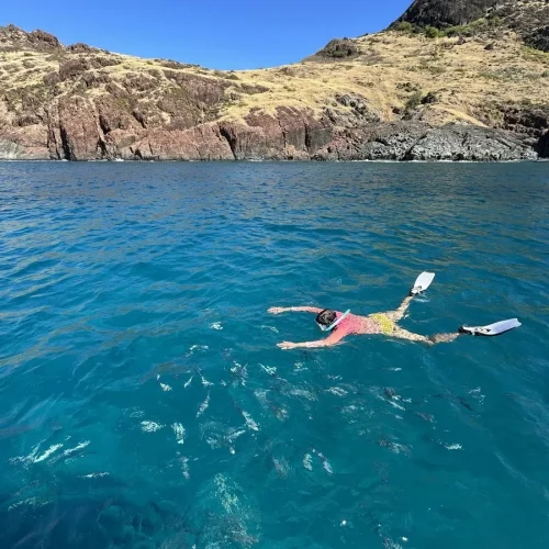 Photo: BritSea Boat Charter, St. Martin (10)