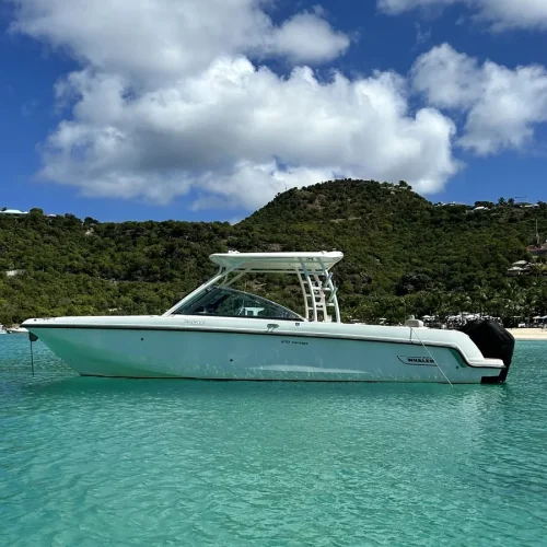Photo: BritSea Boat Charter, St. Martin (14)