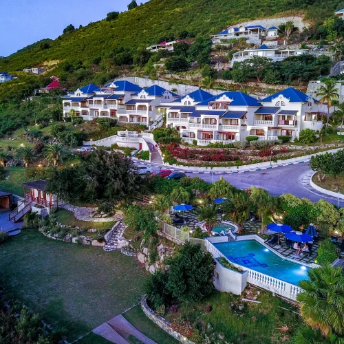 Photo du haut en grand