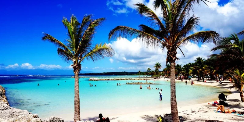 Plage-de-Sainte-Anne-cocotiers