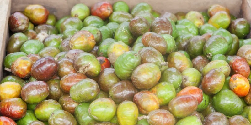 Prune Mombin-st-martin